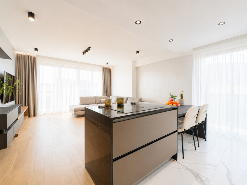 One Herastrau Towers, 3 camere.